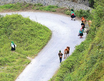 Về nhà với mẹ