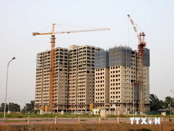 Ảnh minh họa: Tuấn Anh/TTXVN