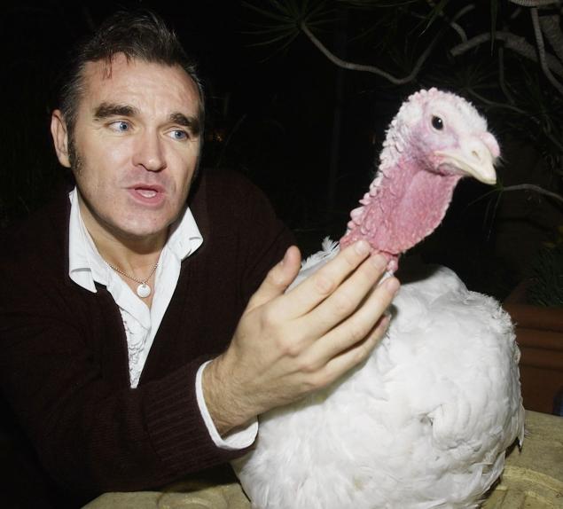 Morrissey: “Không khác biệt giữa ăn động vật và ấu dâm”