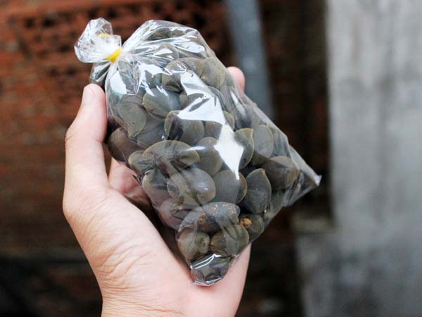 Mỗi bịch xay có giá 5.000 đồng, đây trở thành món ăn vặt khiến nhiều người thích thú.