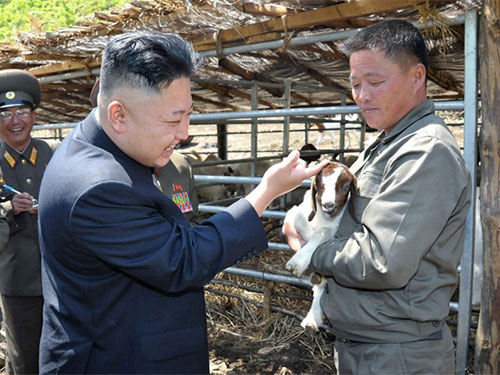 Nhà lãnh đạo Triều Tiên Kim Jong-un vuốt ve một chú dê con trong chuyến thăm trại gia súc.
Ảnh: KCNA