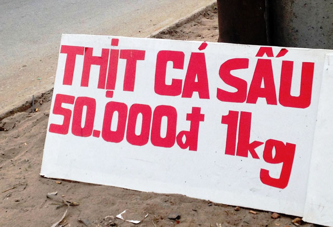 C&aacute; sấu được b&agrave;y b&aacute;n tr&agrave;n lan khắp đường phố với gi&aacute; si&ecirc;u rẻ 50.000 đồng/kg.