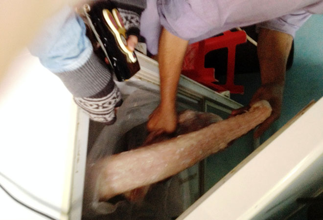 Thịt c&aacute; cấu được trữ trong c&aacute;c th&ugrave;ng cấp đ&ocirc;ng