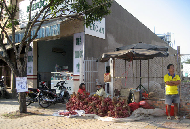 V&igrave; l&agrave; một trong những loại rau củ kh&ocirc;ng thể thiếu trong 3 ng&agrave;y Tết n&ecirc;n h&agrave;nh t&iacute;m đang được b&agrave;y b&aacute;n khắp nơi với gi&aacute; rất cao