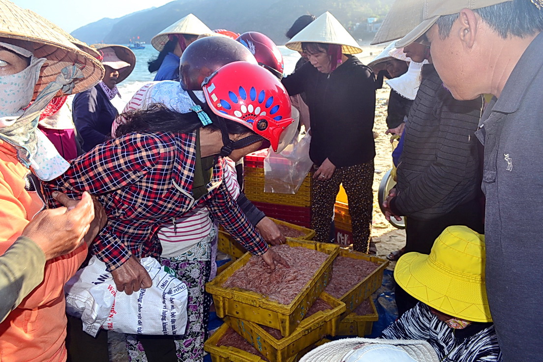 C&aacute;c đầu  nậu đang chọn ruốc đem ra chợ b&aacute;n