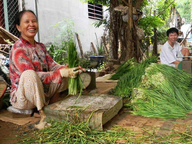 Gi&aacute; hẹ đột ngột tăng cao khiến người d&acirc;n rất phấn khởi.
