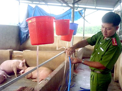 Xử phạt 78 triệu đồng vì "cho heo ăn no nước"