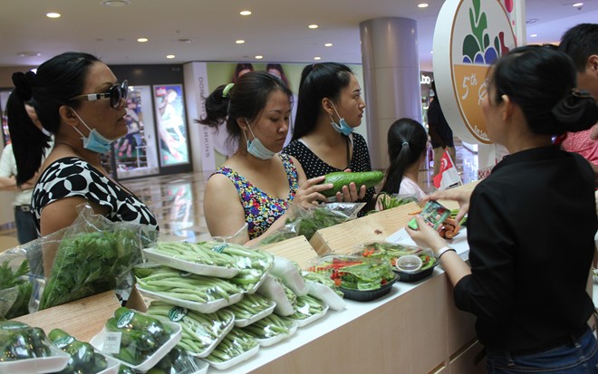 Rau sạch Singapore gi&aacute; rẻ ở S&agrave;i G&ograve;n