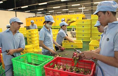 Hội nhập tới nơi mà chưa lo ‘bơi’