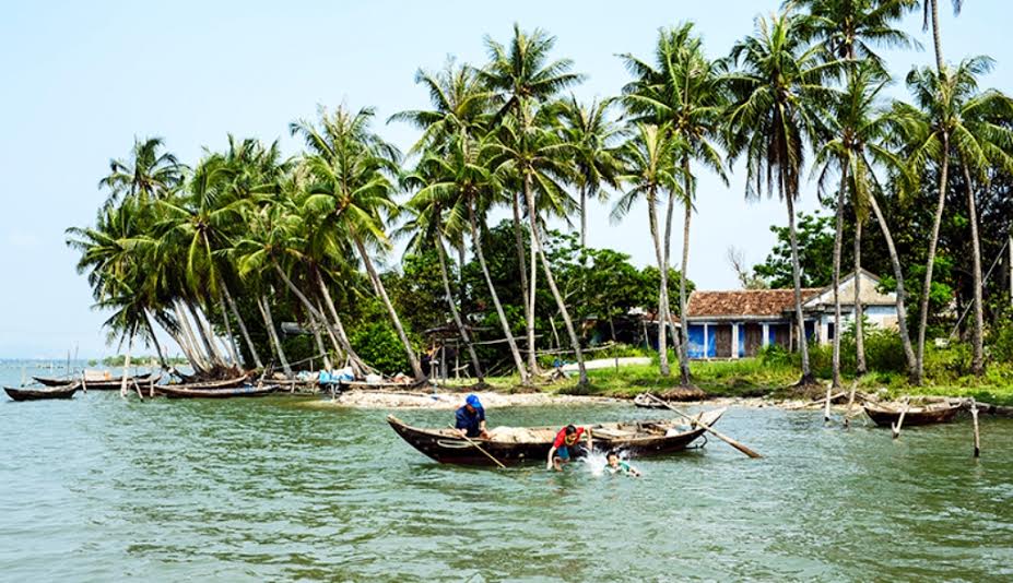 Những hàng dừa đã tạo nên nét duyên dịu dàng của Tam Hải