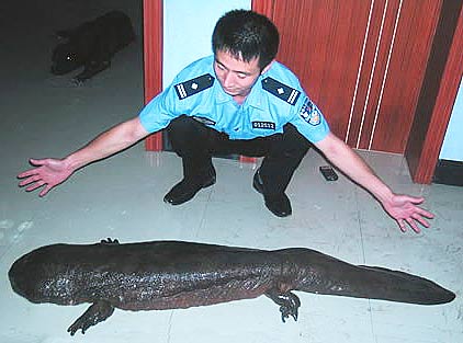 14 cảnh sát Trung Quốc bị phạt vì bữa tiệc kỳ giông