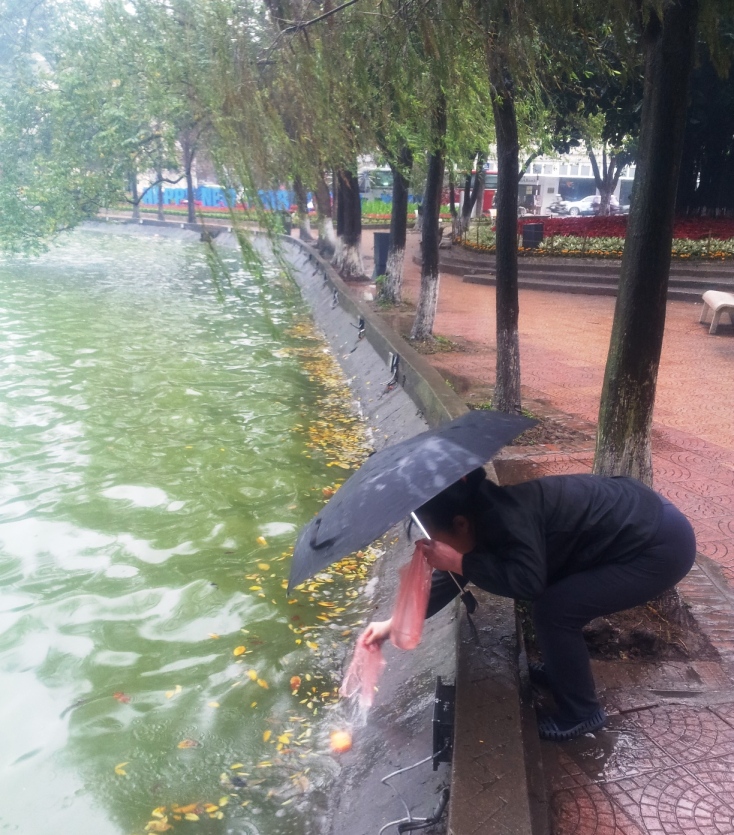 Người dân thả cá chép tại hồ Hoàn Kiếm
