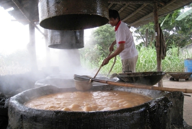 Những l&agrave;ng mật m&iacute;a xứ Thanh đỏ những dịp Tết đến Xu&acirc;n về