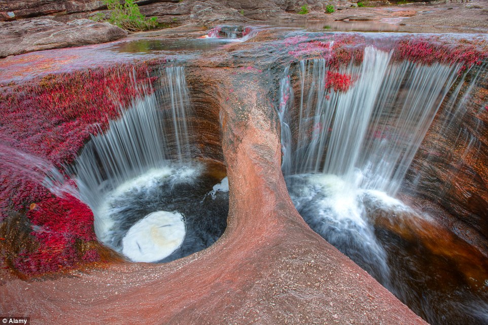 Ảnh: Alamy