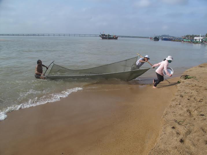 Vớt c&aacute; th&agrave;i bai ở cửa biển Đ&agrave; Diễn (s&ocirc;ng Ba, Ph&uacute; Y&ecirc;n)
