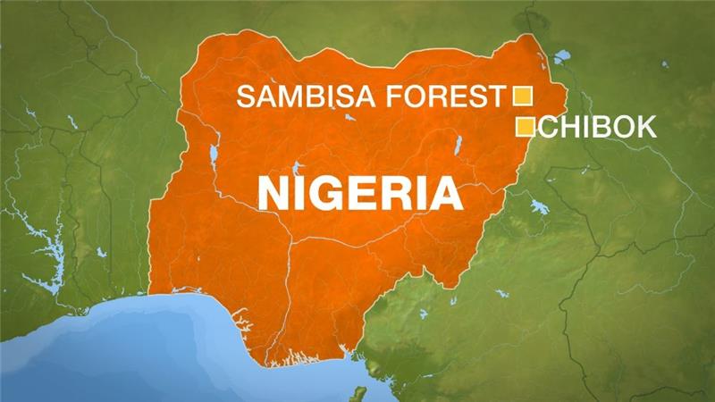 Khu rừng Sambisa gần Chibok - nơi Boko Haram bắt cóc gần 300 nữ sinh hồi năm ngoái. Ảnh: Al Jazeera