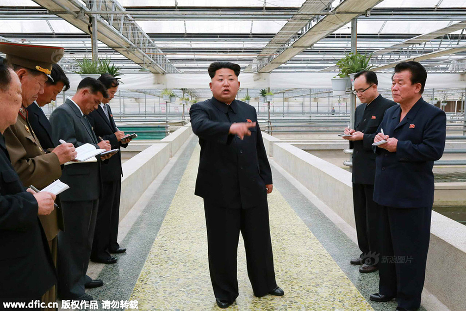 Nh&agrave; l&atilde;nh đạo Kim Jong-un thăm trại nu&ocirc;i r&ugrave;a nước ngọt. Ảnh: DFIC