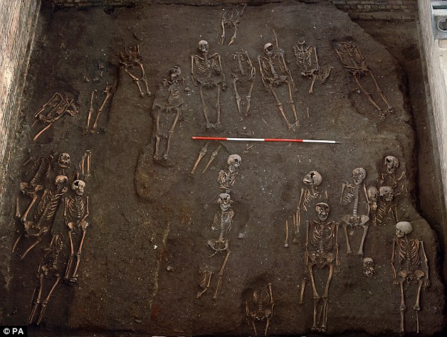 Big dig: Containing about 1,300 burials - including about 400 complete skeletons - the cemetary was found as part of the refurbishment of the Victorian building three years ago but details have only now been made public