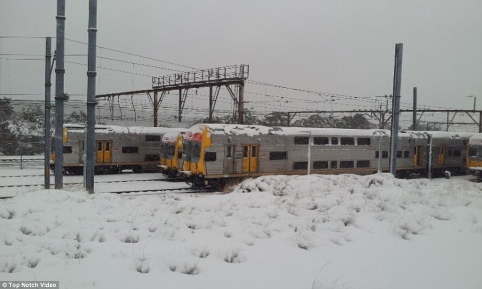 Trains have also been affected with lines between Sydney and the Blue Mountains closed until further notice