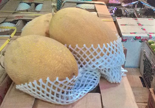 Dưa lưới Trung Quốc gắn mác Đà Lạt