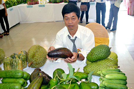 Thu tiền tỉ nhờ trồng bơ booth "khủng"