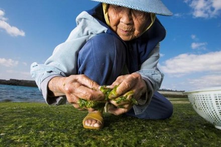 Sau bất động sản, ta xây gì?