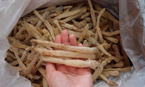 4 triệu đồng một kg sá sùng khô vẫn cháy hàng