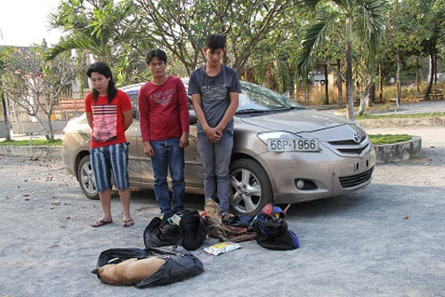 Thuê xe con đi trộm chó