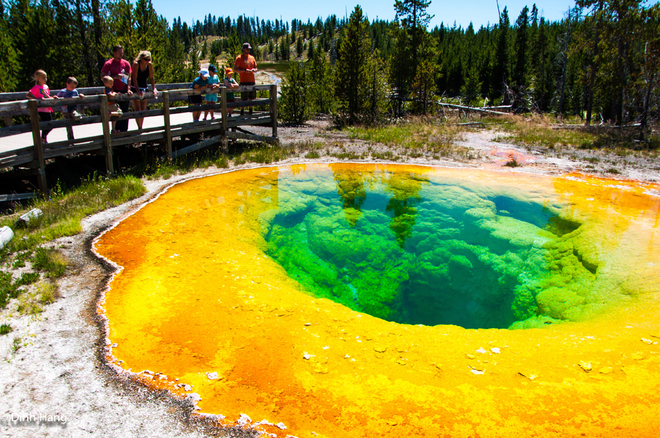 Morning Glory - b&ocirc;ng hoa bằng nước ở C&ocirc;ng vi&ecirc;n quốc gia Yellowstone.