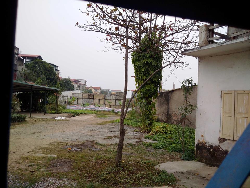 Nhìn từ cổng vào