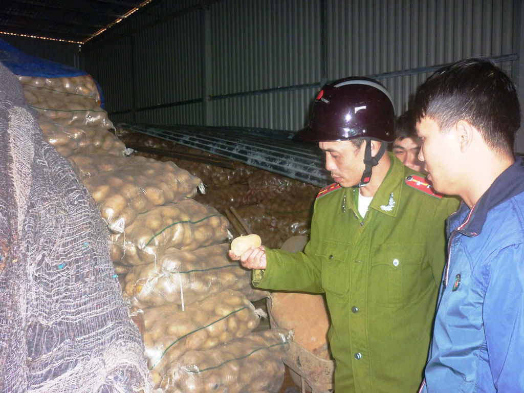 Lực lượng chức năng thu giữ khoai t&acirc;y Trung Quốc c&oacute; dư lượng thuốc bảo vệ thực vật vượt ngưỡng cho ph&eacute;p tại chợ n&ocirc;ng sản Đ&agrave; Lạt