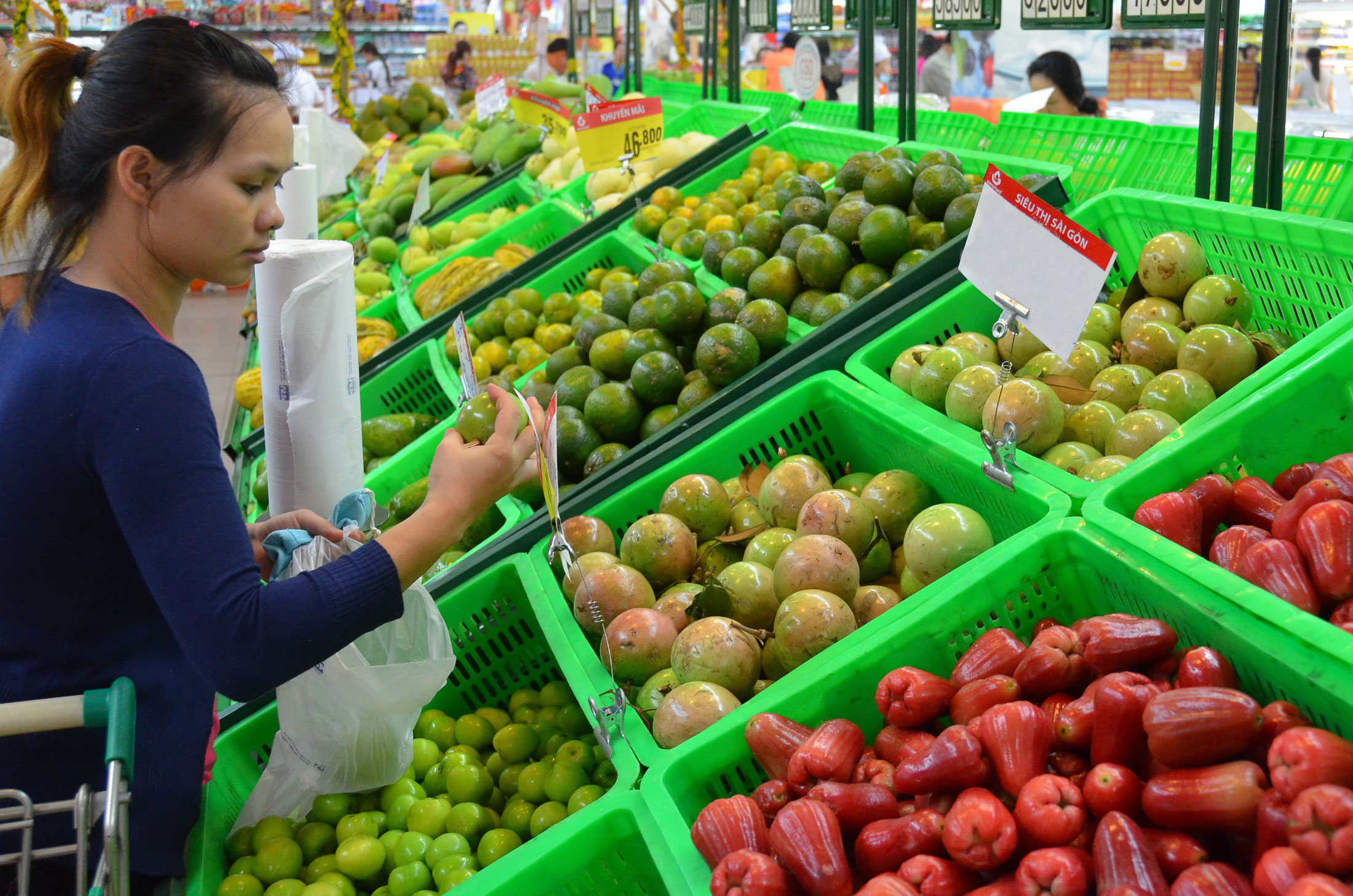 Để c&oacute; mặt trong si&ecirc;u thị, tr&aacute;i c&acirc;y phải đạt chuẩn VietGAP, GlobalGAP v&agrave; được lựa chọn kh&aacute; đồng đều về mẫu m&atilde;, trọng lượng Ảnh: TẤN THẠNH