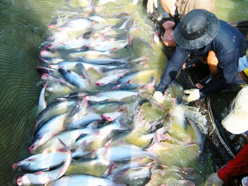 Xuất khẩu ngấm đòn vì tỉ giá