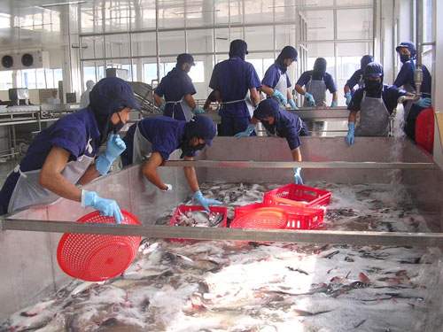 Phản đối Mỹ giám sát cá tra, ba sa của Việt Nam