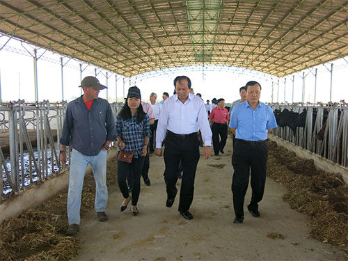 L&atilde;nh đạo tỉnh H&agrave; Nam thăm trang trại b&ograve; của Ho&agrave;ng Anh Gia Lai