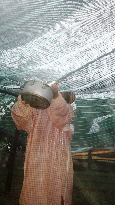 Mưa đá tiếp tục “giáng” xuống Đà Lạt