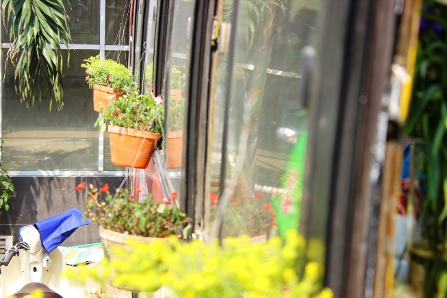 Những ch&acirc;̣u hoa được trang trí 2 b&ecirc;n xe