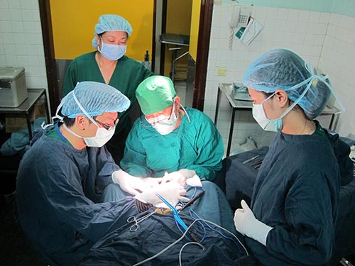 Tới đây, giá dịch vụ nắn, bó bột gãy xương cẳng tay sẽ được quy về một mức giá chung ở các tuyến điều trị