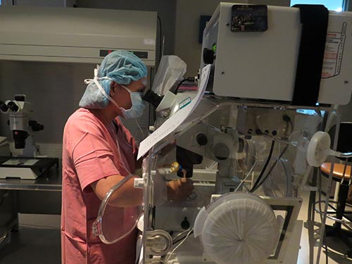 TP HCM: Tin vui từ 2 ca mang thai hộ đầu tiên