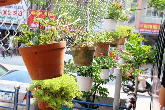 Những chậu hoa nhỏ l&agrave;m kh&ocirc;ng gian qu&aacute;n c&agrave; ph&ecirc; độc đ&aacute;o th&ecirc;m phần l&atilde;ng mạn