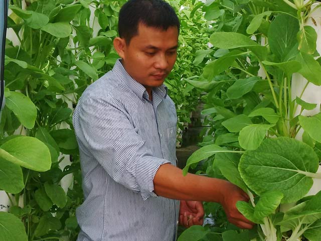 Anh Giang Mạnh Tuấn b&ecirc;n trang trại trồng rau an to&agrave;n theo phương ph&aacute;p thủy canh trụ đứng của m&igrave;nh. Ảnh: H.K