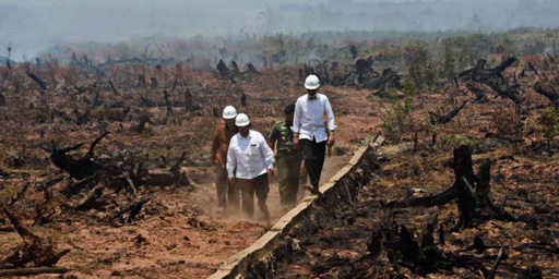 Indonesia cầu cứu, Malaysia điều máy bay sang dập lửa