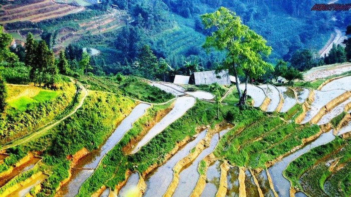 Đượm một bức tranh đẹp đến nao l&ograve;ng