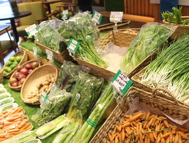 Rau sạch Singapore gi&aacute; rẻ ở S&agrave;i G&ograve;n