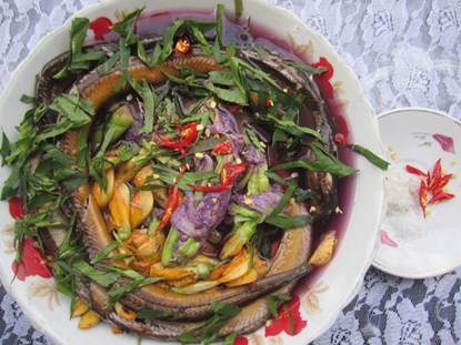 Bắt lươn nấu với lục bình