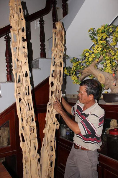 Cây dó bầu mang trầm trị giá hàng chục triệu đồng của ông Nguyễn Phúc
