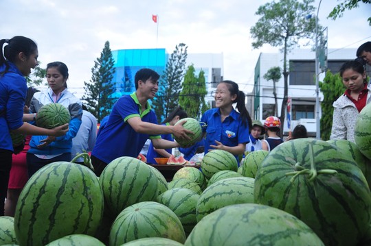 Vụ tố ăn chặn tiền bán dưa: Sẵn sàng mời công an vào cuộc!