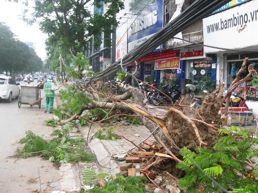 Hà Nội tan hoang sau cơn giông lốc kinh hoàng