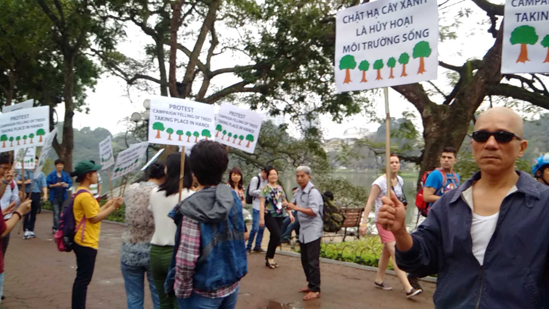 Người d&acirc;n H&agrave; Nội, trong cả người nước ngo&agrave;i, đề nghị kh&ocirc;ng chặt hạ h&agrave;ng loạt c&acirc;y xanh tại bờ Hồ Gươm ng&agrave;y 20-3