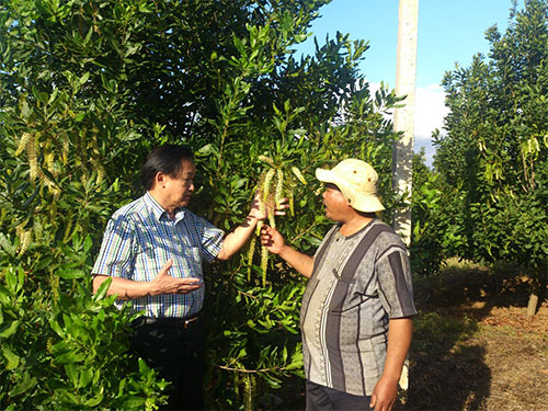 Canh bạc “tỉ đô”